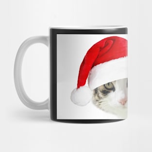Merry Christmas Mr Tiger Mug